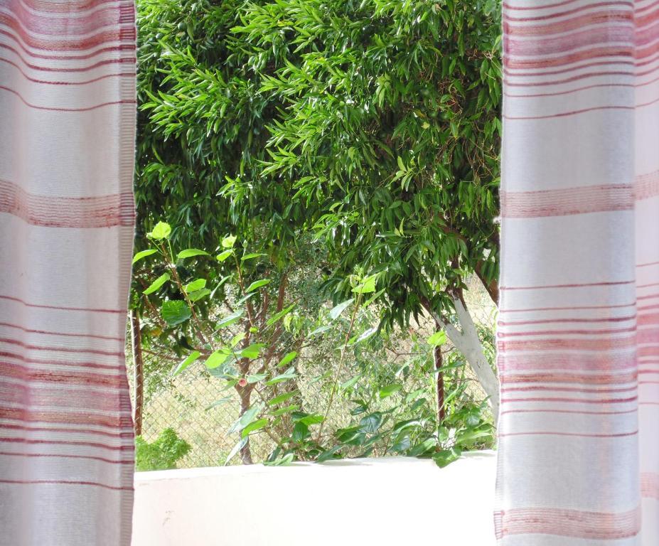 Villa Melini Patitírion Rom bilde